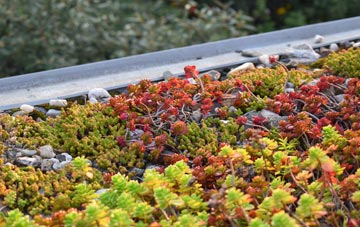 the cost of New Hainford green roof installation